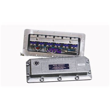 Goyen® Pilot Valve Enclosures for Hazardous Locations, 3-6VFD6010C-331
