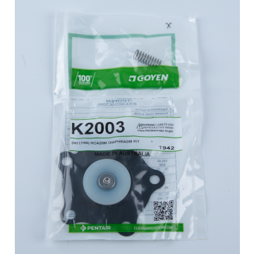Goyen® Repair Kit for RCA20M Pulse Valves, K2003 (M1174B)