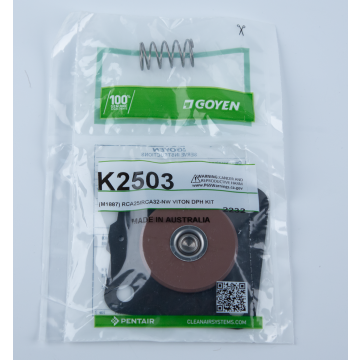 Goyen® Repair Kit for CA/RCA25 Pulse Valves, High Temp, Viton, K2503 (M1887) 