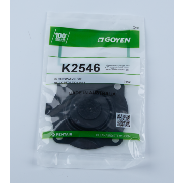 Goyen® Repair Kit for 4 Series Pulse Valves, K2546